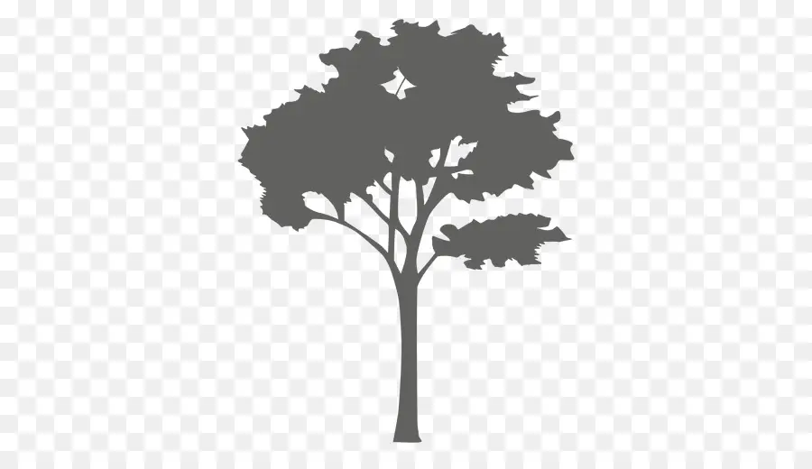 Pohon，Siluet PNG