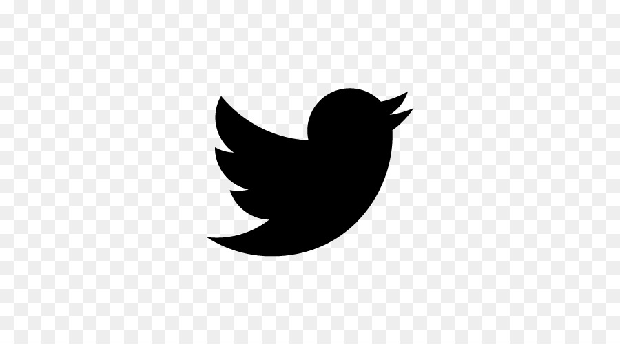 Burung Hitam，Twitter PNG