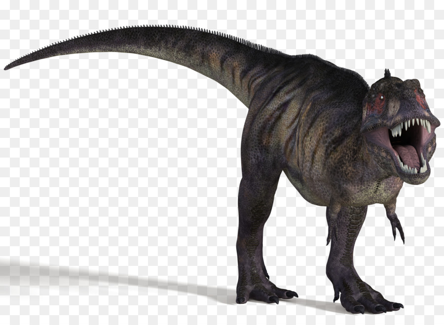 Dinosaurus，Prasejarah PNG