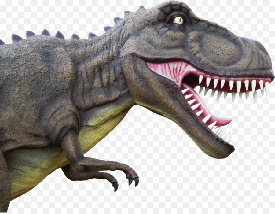 Tyrannosaurus，Dinosaurus Digger PNG