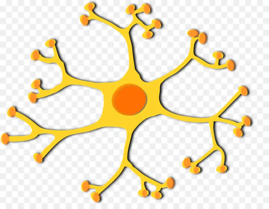 Neuron，Sel PNG