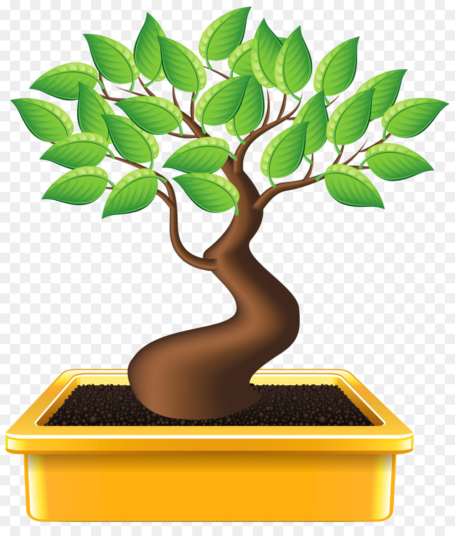 Bonsai，Houseplant PNG