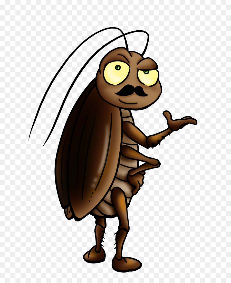  Kecoa  Serangga Kartun  gambar png