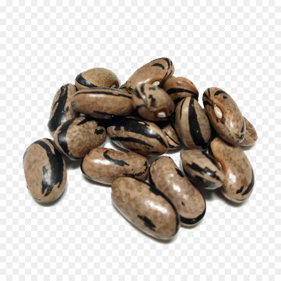 Kacang Polong，Kacang Kacangan PNG