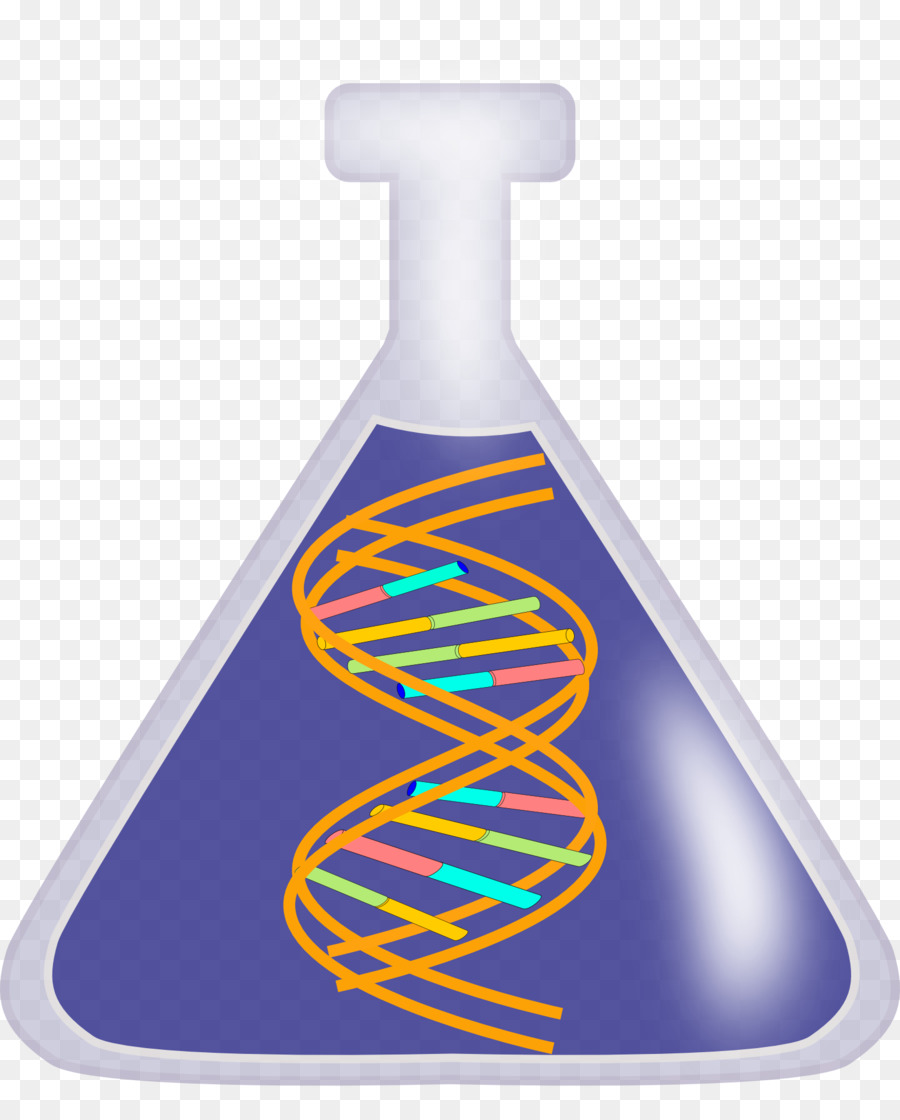 Dna，Asam Nukleat Double Helix PNG