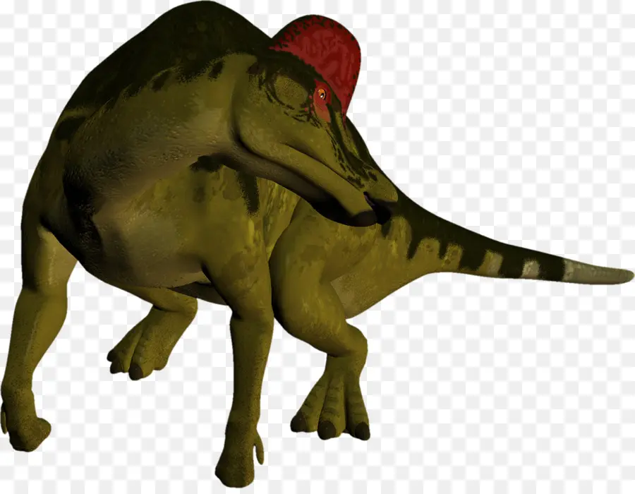 Dinosaurus，Prasejarah PNG