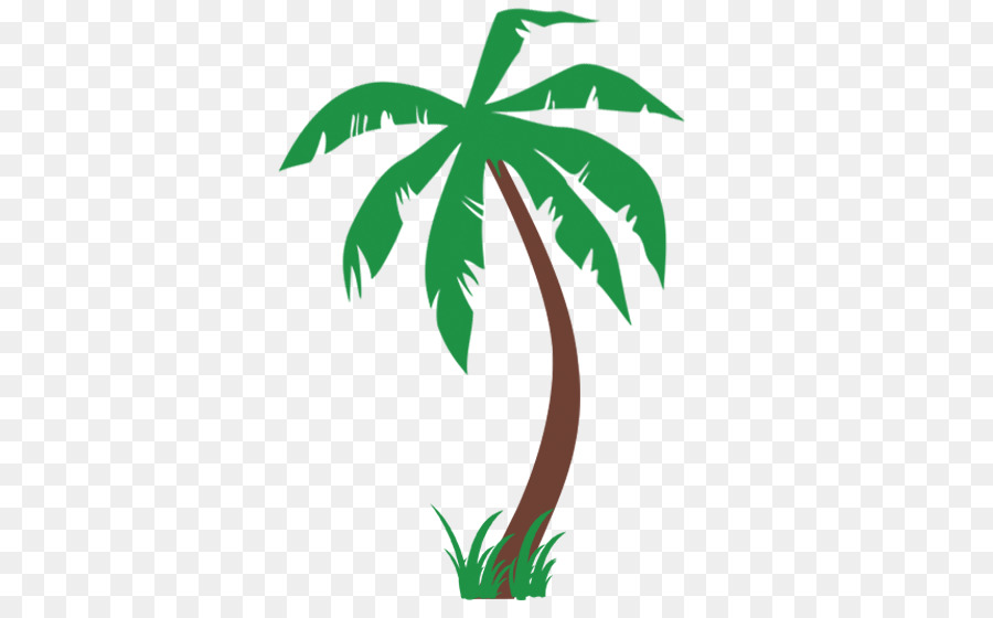 Arecaceae Stiker Ratu Kelapa Sawit Gambar Png