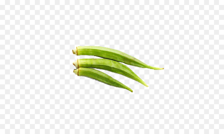 Okra，Hijau PNG