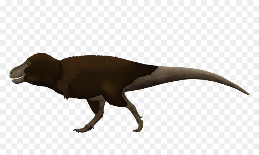 Saurian，Tyrannosaurus PNG