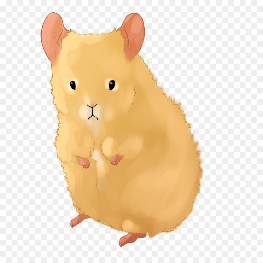 Tikus Lucu，Mouse PNG