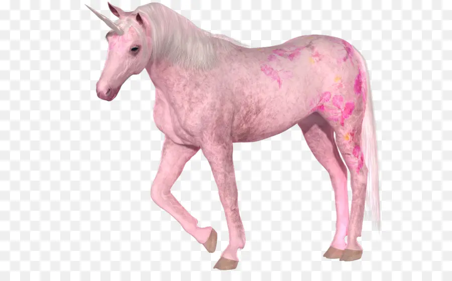 Unicorn Merah Muda，Unicorn PNG