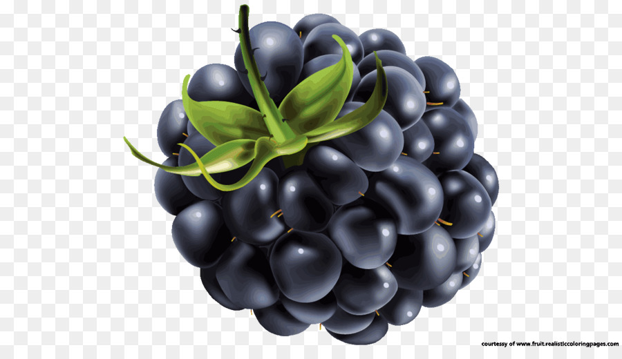 Blackberry，Buah Beri PNG