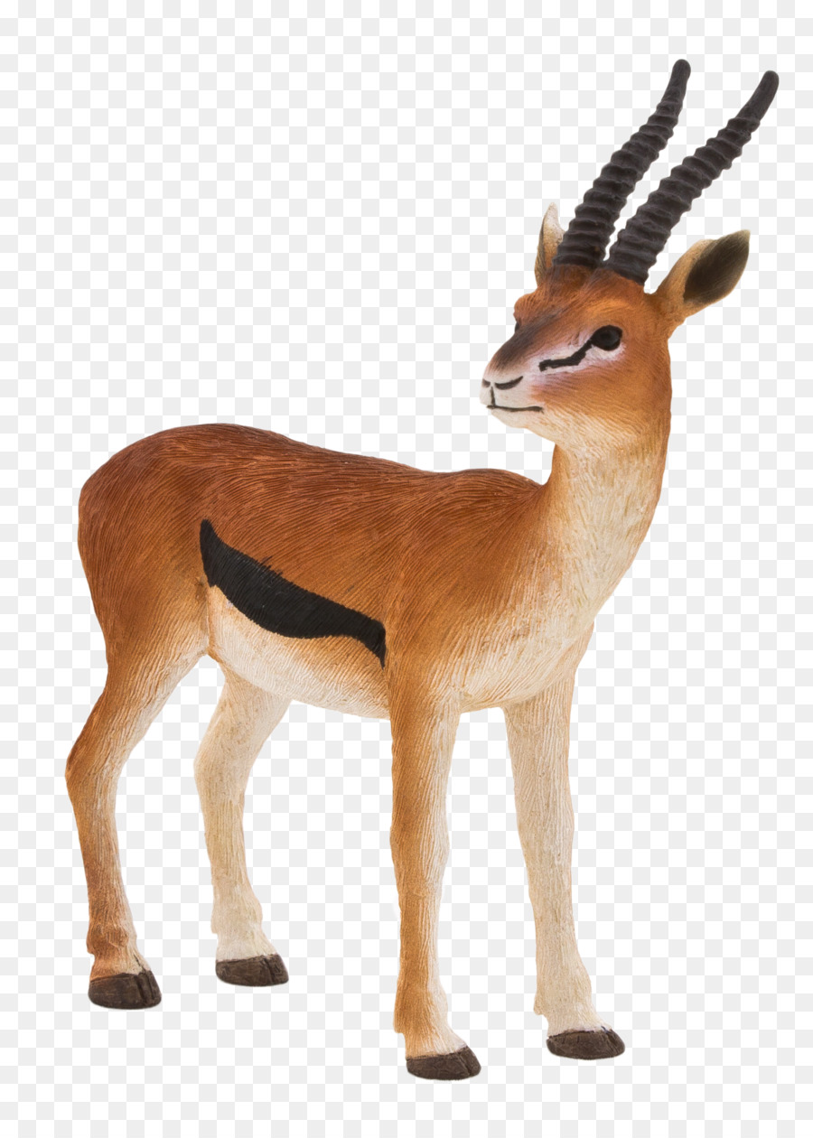 Goat Gazelle Antelope Impala Springbok Thomsons Gazelle Wildlife Horn Gazelle Antelope Impala Png Pngwing