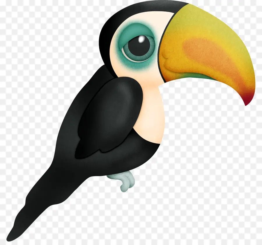 Burung Toucan，Burung PNG