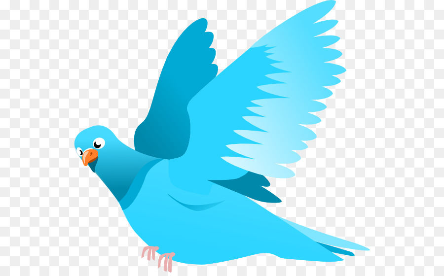 Blue Bird，Penerbangan PNG