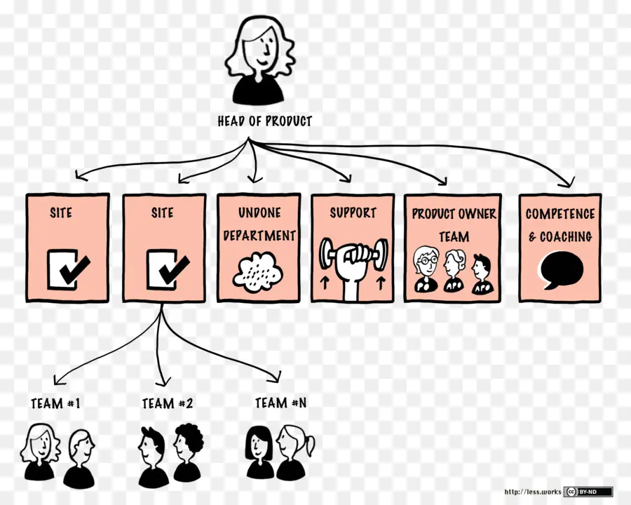 Scrum，Organisasi PNG