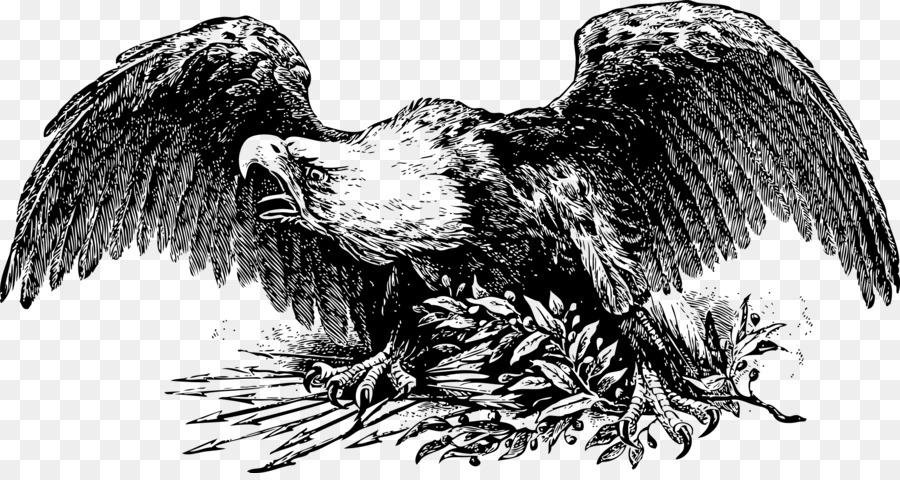 Perang Eagle，Gambar PNG