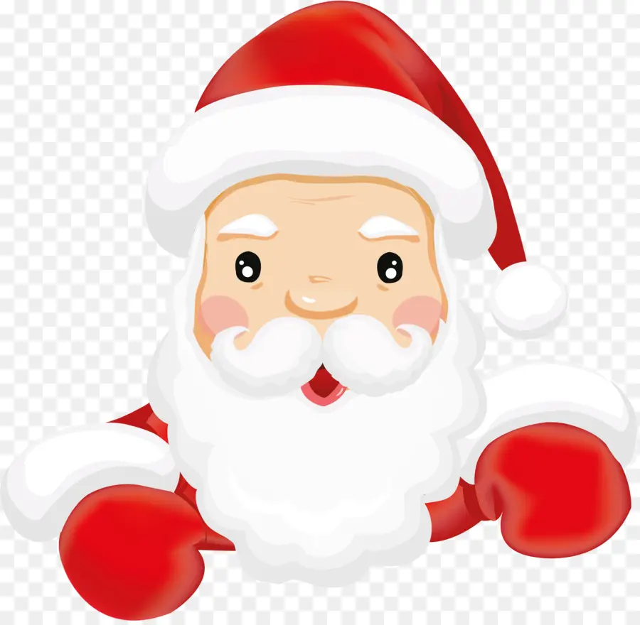 Santa Claus，Ded Moroz PNG