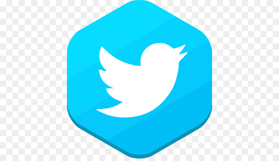 Logo Twitter，Media Sosial PNG