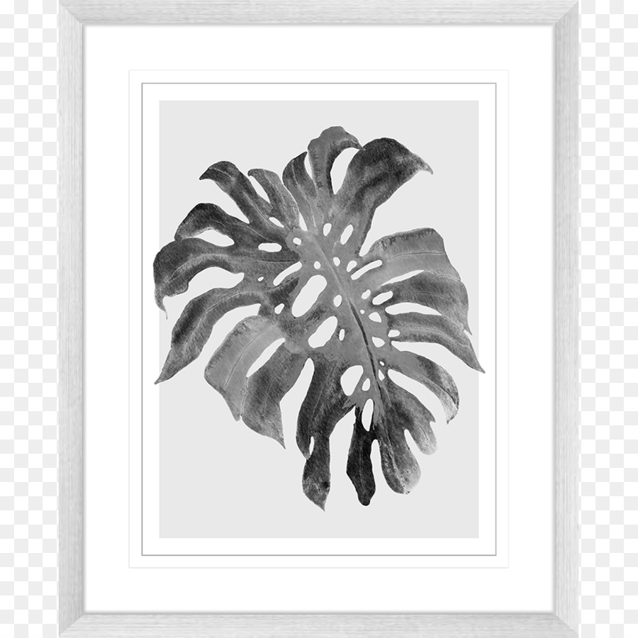 Seni Daun，Monstera PNG