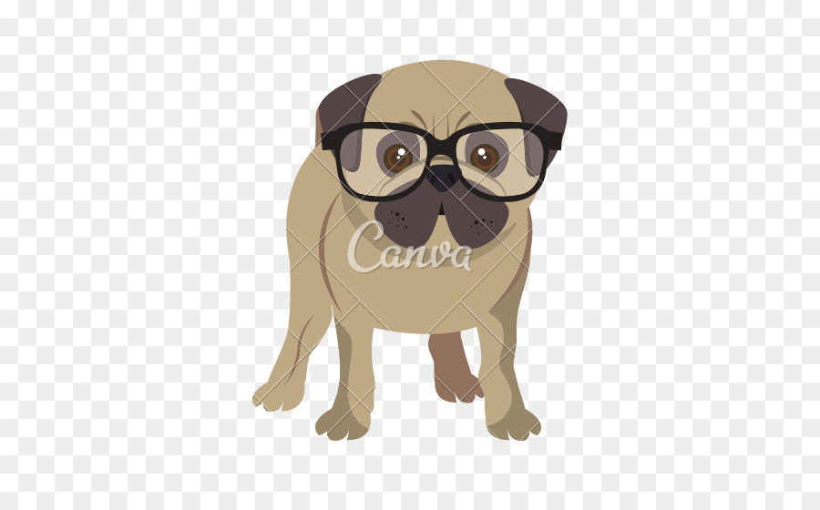 Pug，Anjing PNG