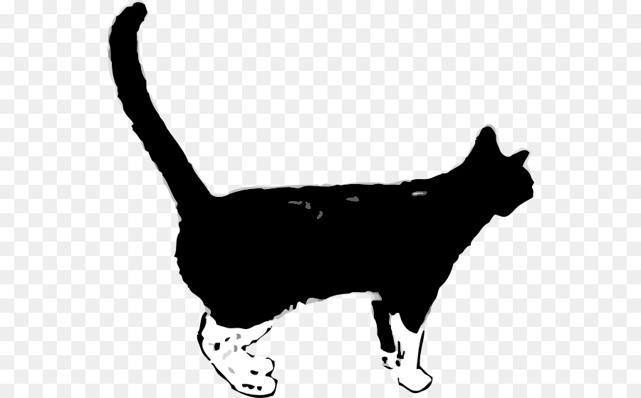 Kucing Hitam，Licik PNG