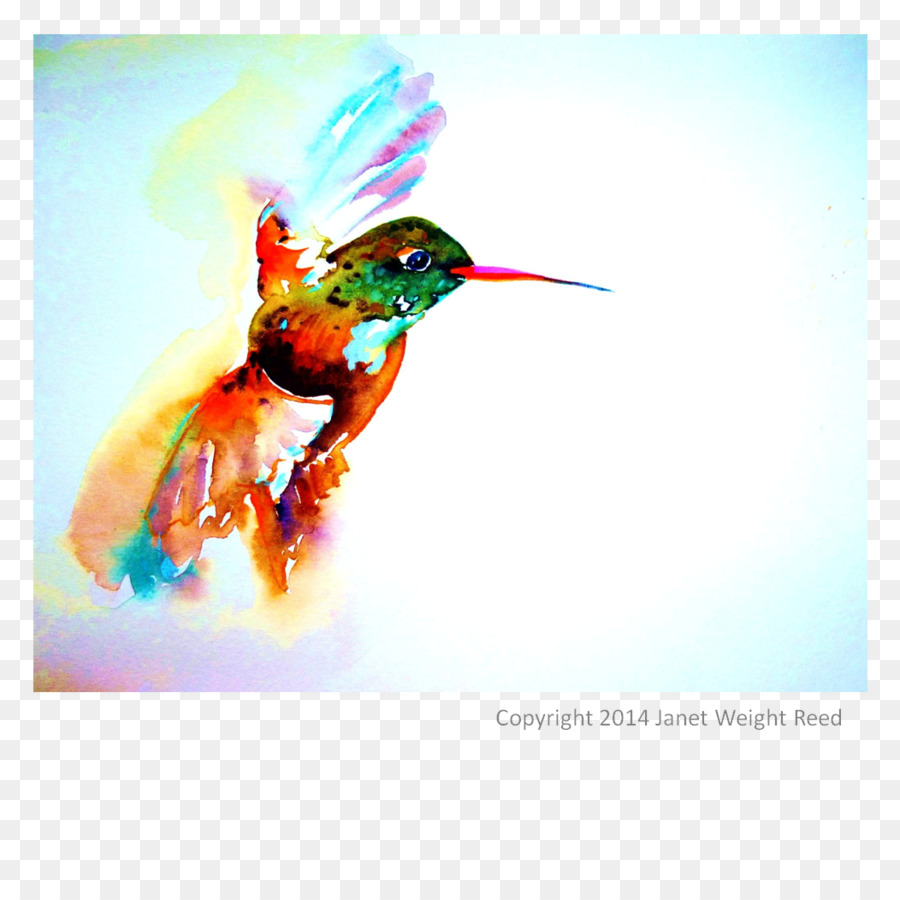 Hummingbird，Burung PNG