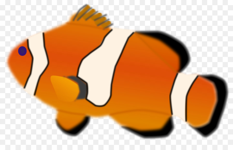 Clownfish，Ikan PNG