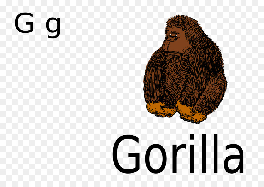 Gorila Barat，Kera PNG