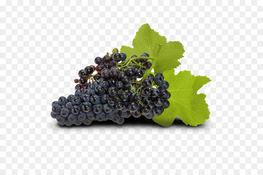 Vine Anggur Umum，Anggur PNG