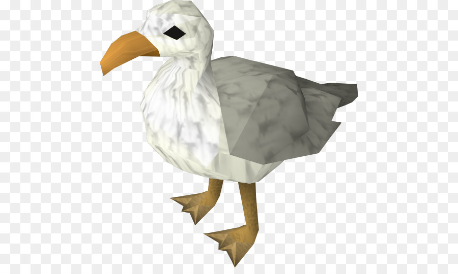 Runescape，Burung PNG