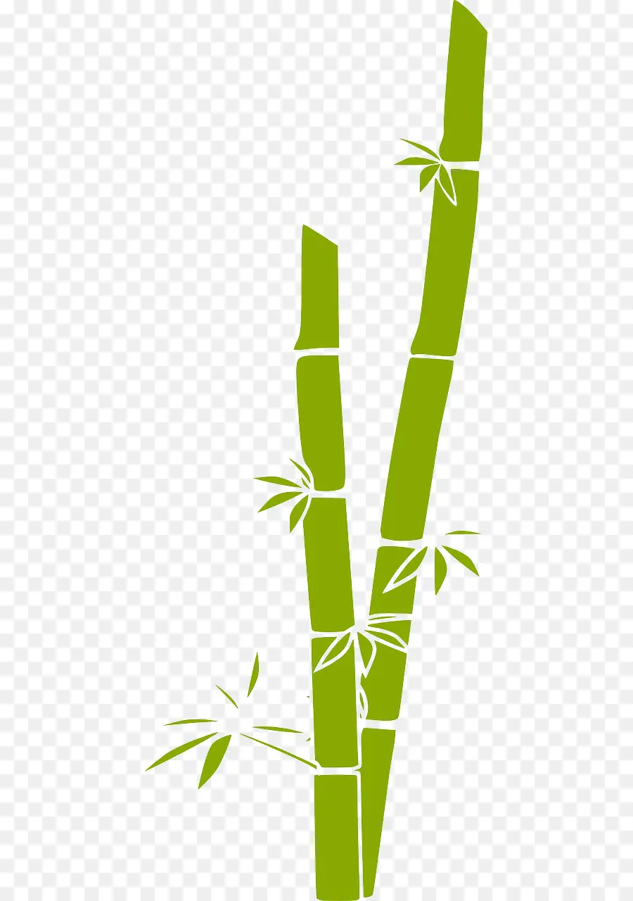 Bambu，Perangkat Lunak Komputer PNG