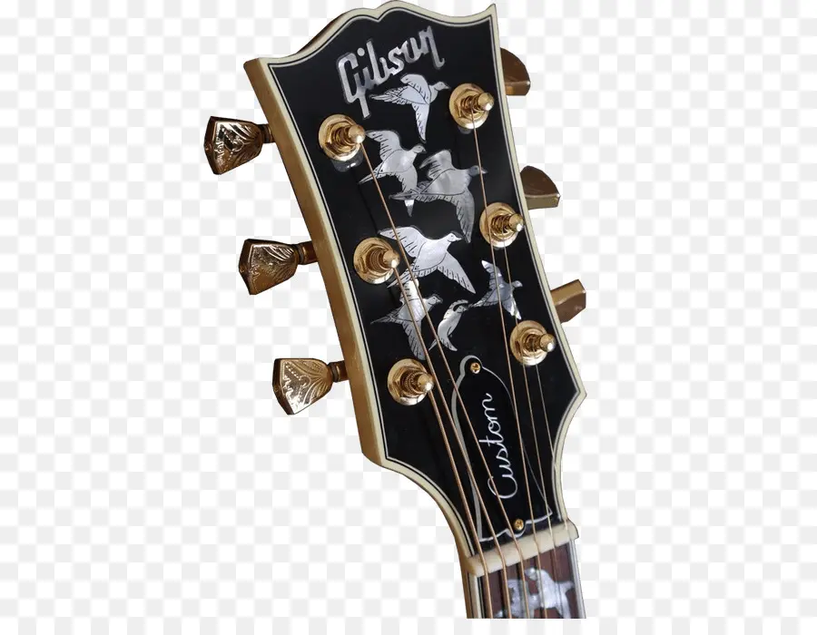 Headstock Gitar，Gibson PNG