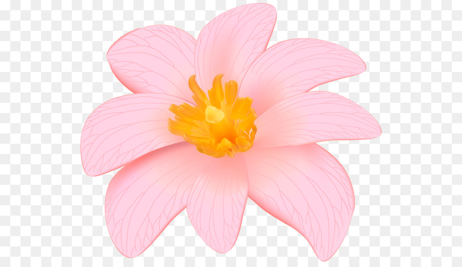 Desktop Wallpaper Bunga Merah Muda Gambar Gambar Png