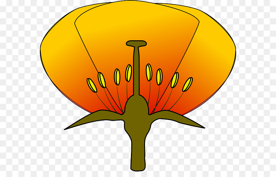 Bunga，Diagram PNG