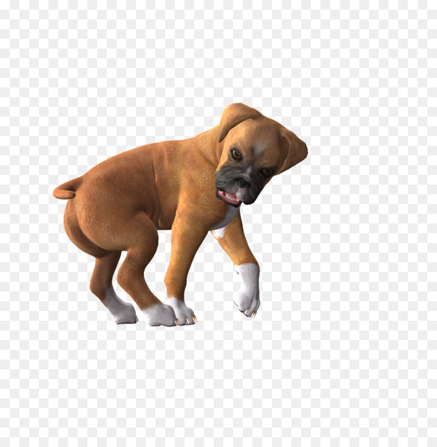 Anjing，Petinju PNG