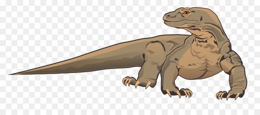 Komodo Dragon Reptil Kadal gambar png