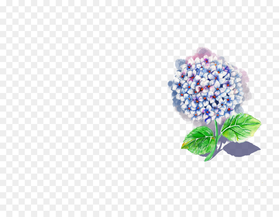 Ungu，Hydrangea PNG