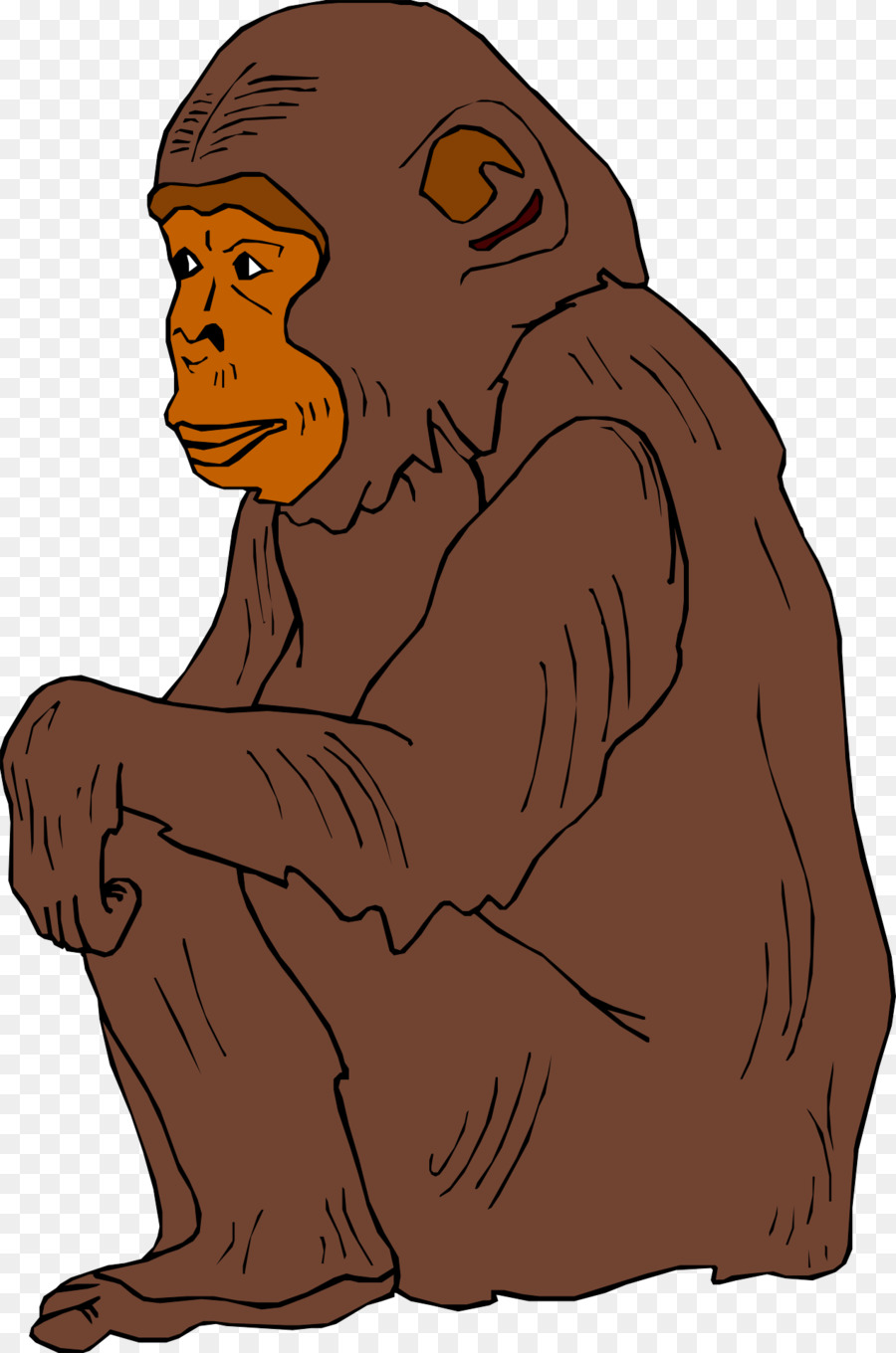 Orangutan，Primata PNG