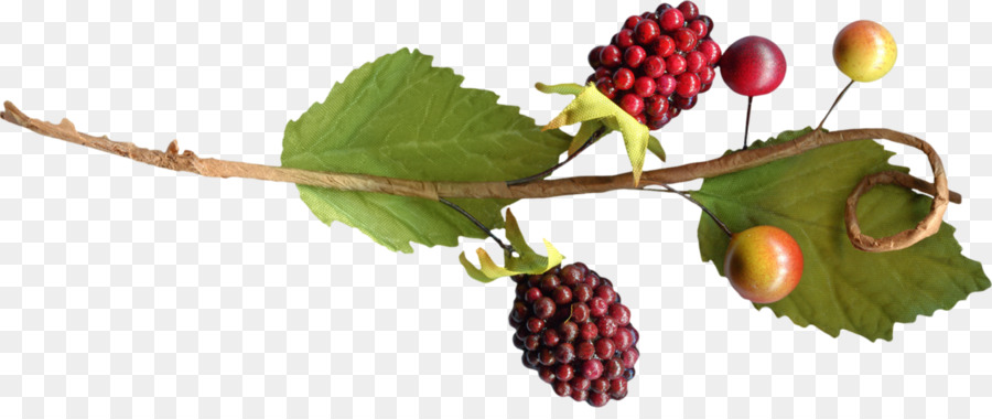 Berry，Auglis PNG