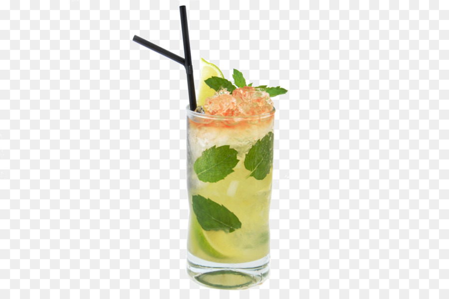 Mojito，Daun Mint PNG