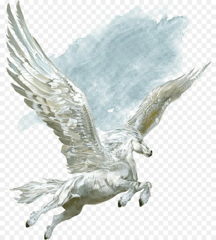 Pegasus，Sayap PNG