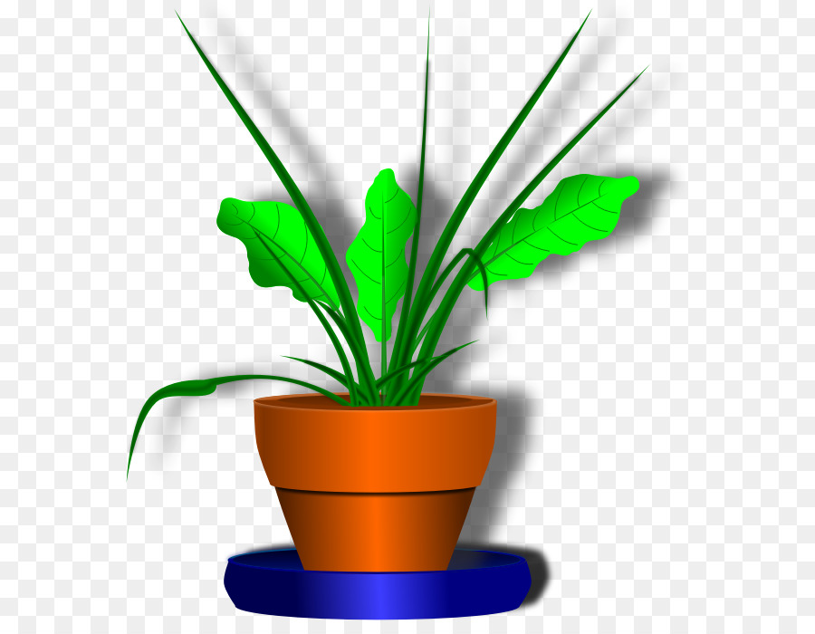 Houseplant，Pabrik PNG