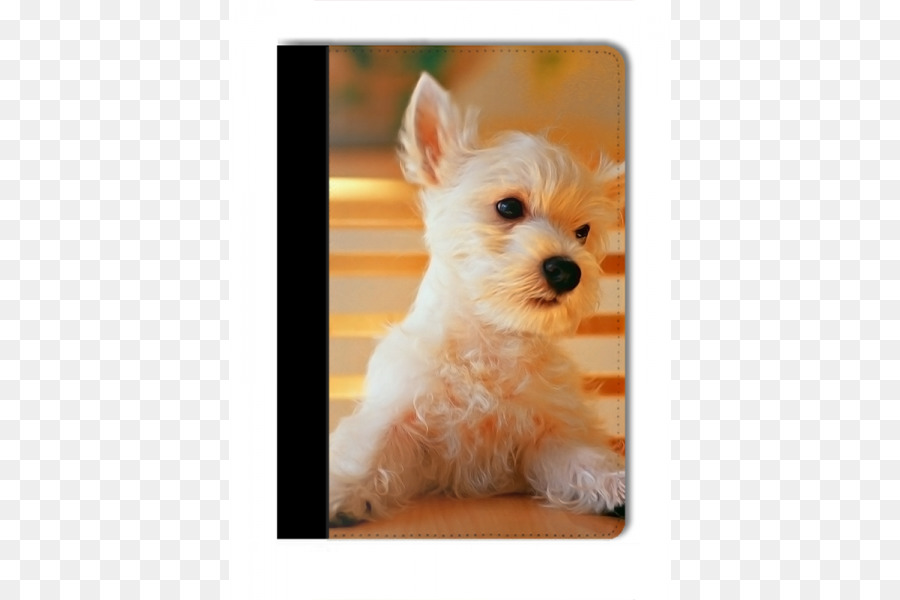 Featured image of post Wallpaper Anjing Lucu Iphone / Kumpulan gambar wallpaper lucu ini juga bisa anda gunakan untuk background power point atau yang lainnya.