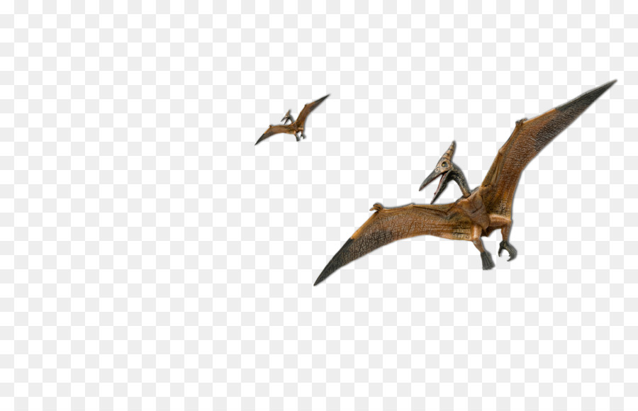 Gambar Dinosaurus  Burung