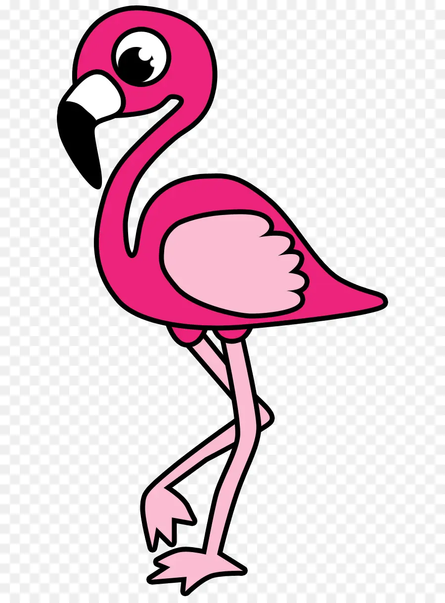 Flamingo，Berwarna Merah Muda PNG