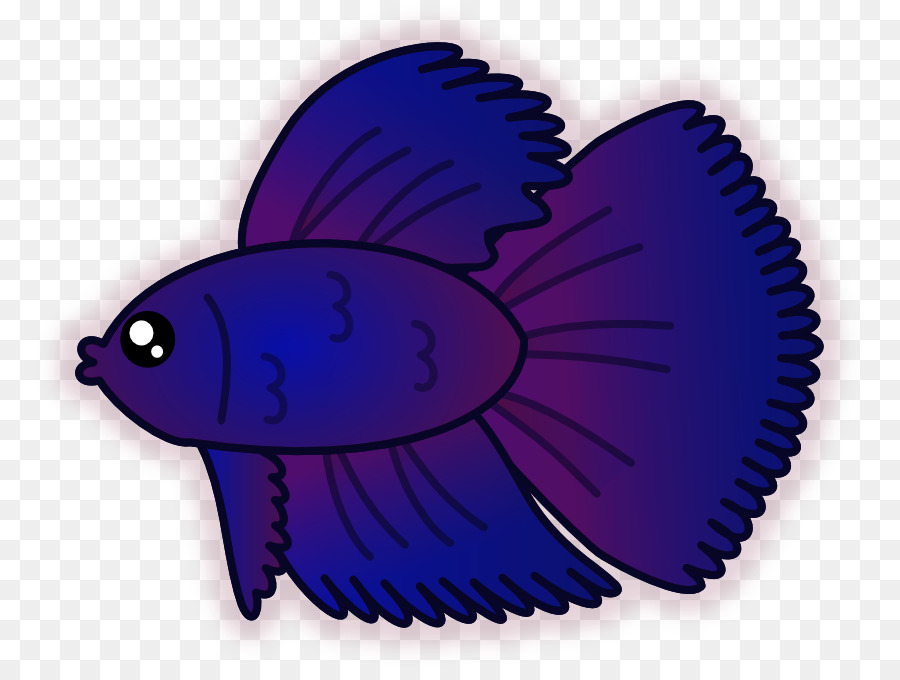 Ikan，Cupang PNG