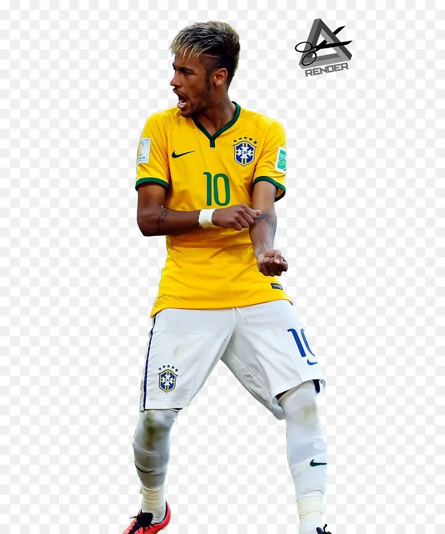 Ibrahimovic，Piala Dunia Fifa 2014 PNG