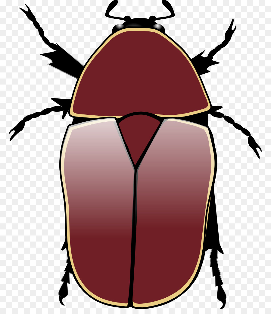 Kumbang，Pachnoda Marginata PNG