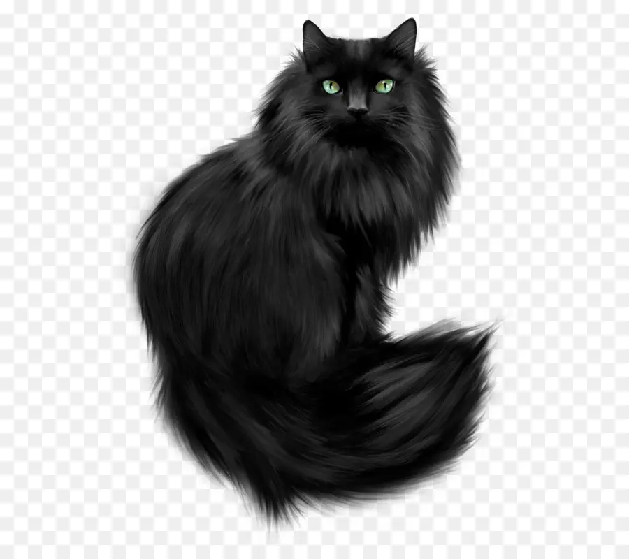 Kucing Hitam，Licik PNG